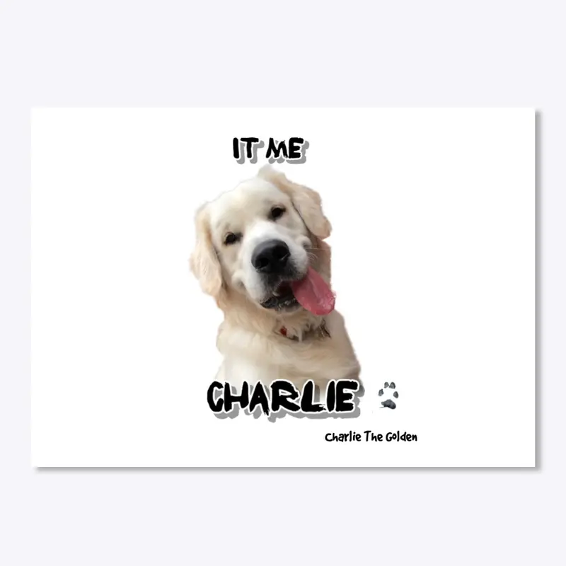 Charlie (It Me Charlie)